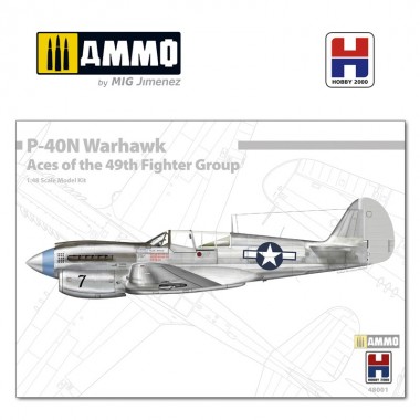 1/48 P-40N Warhawk Aces of...
