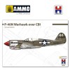 1/48 P-40N Warhawk over CBI