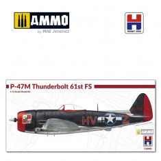 1/72 P-47M Thunderbolt 61st Fighter Squadron