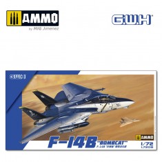 1/72 F-14B "Bombcat"