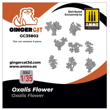 1/35 Flor de Oxalis (8 pzas.)