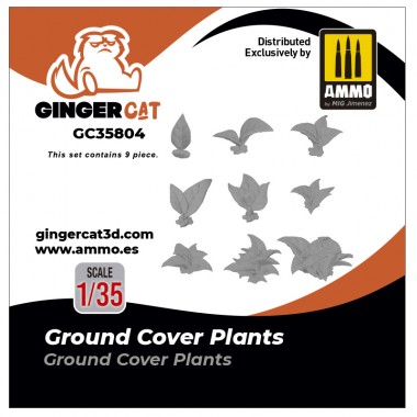 1/35 Ground Cover Plants...