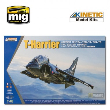 1/48 T-Harrier...