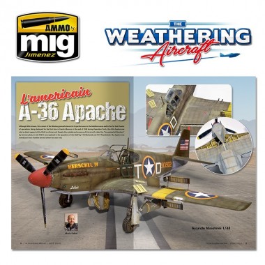 THE WEATHERING AIRCRAFT 9 -...