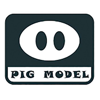 Pig Model