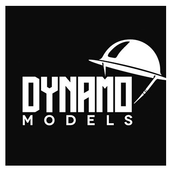 Dynamo Models